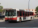 Red Deer Transit 818-a.jpg
