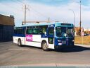 Calgary Transit 264-a.jpg