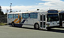 Halifax Transit 966-a.jpg