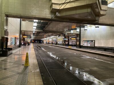 Sound Transit Westlake Station-a.JPG