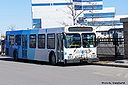 York Region Transit 329-b.jpg