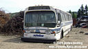 Metrobus 8211-a.jpg