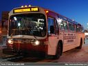 Red Deer Transit 507-a.jpg