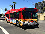 Long Beach Transit 2507-a.jpg