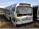 Regina Transit 202-a.jpg