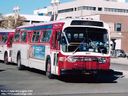 Red Deer Transit 501-a.jpg