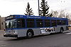 Edmonton Transit System 256-a.jpg