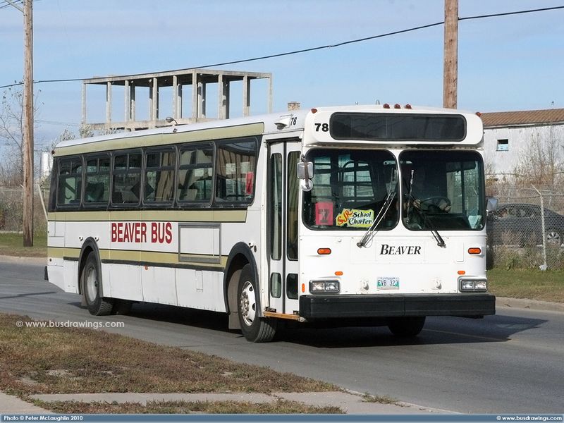 File:Beaver Bus Lines 78-a.jpg