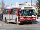 Red Deer Transit 252-a.jpg