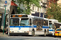 MTA Bus Company 5955-a.jpg