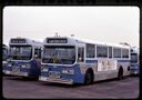 Santa Monica Municipal Bus Lines 4208 & 4207-a.jpg