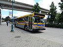 Coast Mountain Bus Company 9231-c.jpg