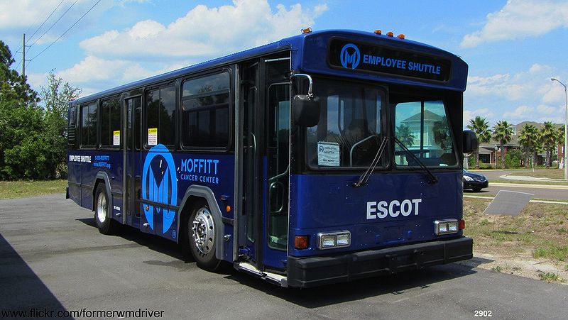 File:ESCOT Bus Lines 2902-a.jpg
