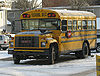 Briggs Bus Lines 489-a.jpg
