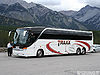 TRAXX Coachlines 836-a.jpg