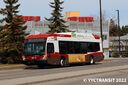 Calgary Transit 8385-a.jpg