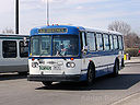 Durham Region Transit 8040-a.jpg