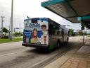 Miami Dade Transit 9981.jpeg