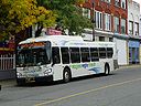 Niagara Region Transit 1141-a.jpg