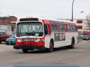 Red Deer Transit 500-a.jpg