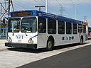 York Region Transit 323-c.jpg