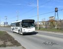 Beaver Bus Lines 66 (2)-a.JPG