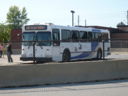 Oakville Transit 895-a.jpg