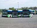 Washington Metropolitan Area Transit Authority George Busses-a.JPG