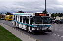 Kingston Transit 0314-a.jpg
