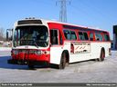 Red Deer Transit 515-a.jpg