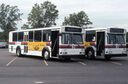 Long Island Bus Gilligs.jpg