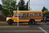 Briggs Bus Lines 211.jpg
