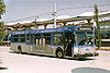 Edmonton Transit System 250-a.jpg