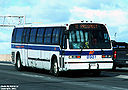 Fredericton Transit 8981-a.jpg
